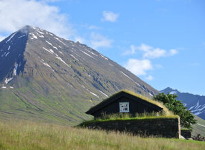 iyengar yoga holidays, wellbeing holidays, iceland yoga retreat